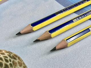Set 5 Bút chì gỗ HB GP-04 hàng công ty