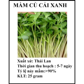 25 gr hạt giống rau mầm củ cải xanh
