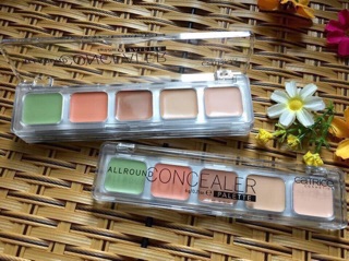 Bảng triệt sắc 5 ô Catrice