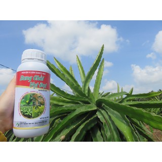 BUNG CHỒI VỌT ĐỌT CÂY ĂN TRÁI (chai 500ml)