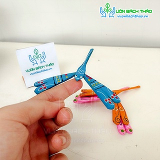 Chuồn chuồn tre vẽ trang trí cây cảnh