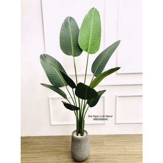 Cây chuối giả 1,6m