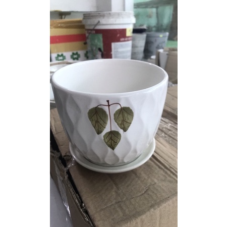 Chậu sứ kèm đĩa lót