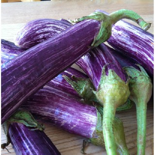 [Chỉ 9K] Gói 20 Hạt giống Cà Tím Sọc Dài F1 nhập khẩu