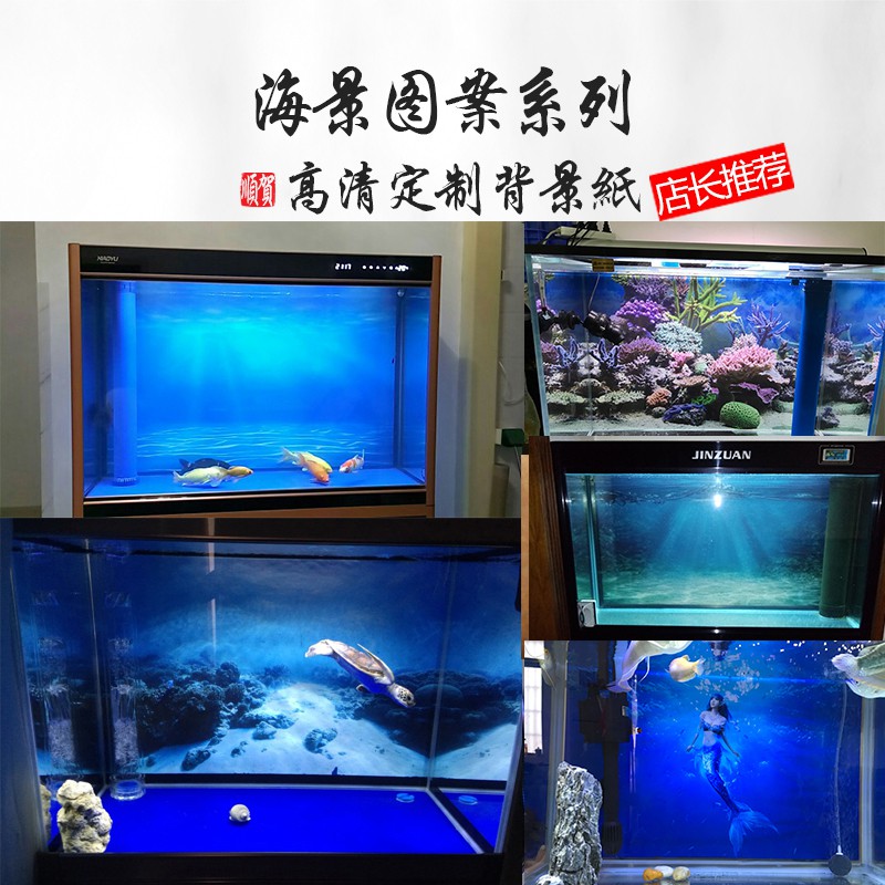 Giấy Dán Tường 3d Trang Trí Bể Cá