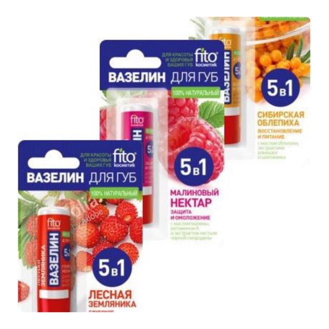 Son dưỡng vaseline 5 in 1 của Nga 4,5g