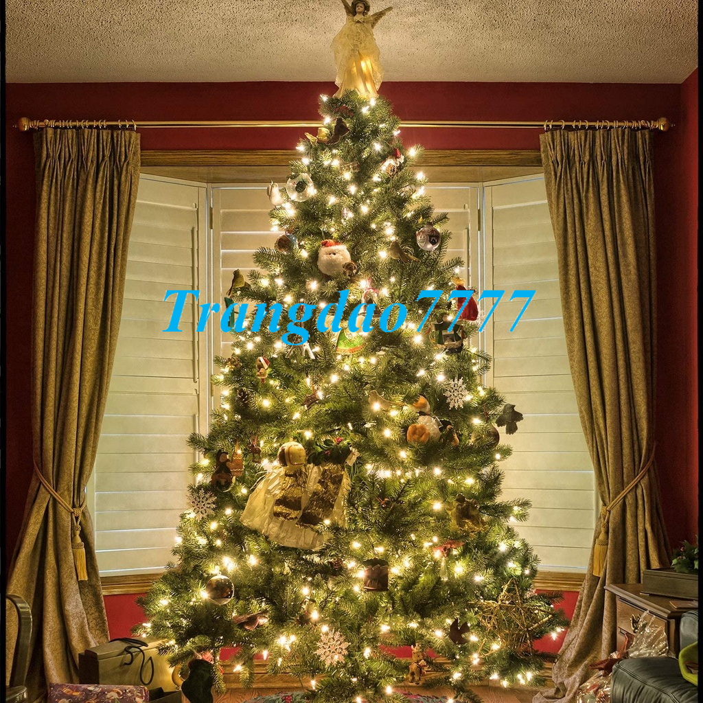 Dây Đèn Led Đom Đóm Fairy Light Trang Trí Tiệc Quấn Cây Thông Noel Mai Đào