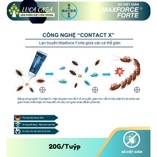 Diệt Gián Maxforce Forte - 20gram - Bayer - Pháp