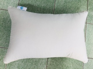 RUỘT GỐI ÉP HƠI