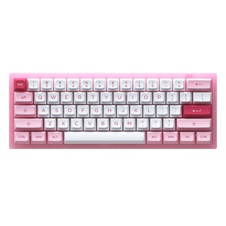 Bàn phím cơ AKKO ACR61 Pink (Hotswap / RGB / AKKO CS sw Jelly Pink)