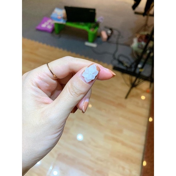 Hoa ẩn xoắn  -shop Huyền Anh