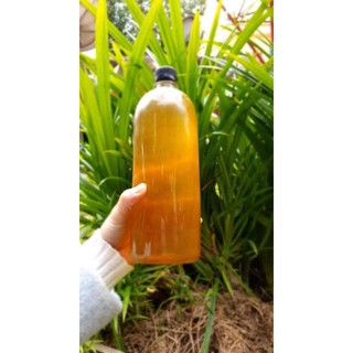 Mật ong Bạc Hà _ đặc sản vùng cao