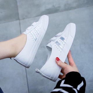 Giầy 2 vạch
