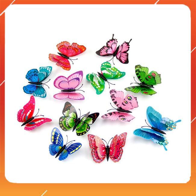 Combo 12 bướm dán tường 3d - 4601