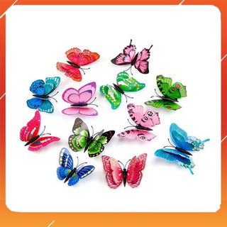 Combo 12 bướm dán tường 3d - 4601