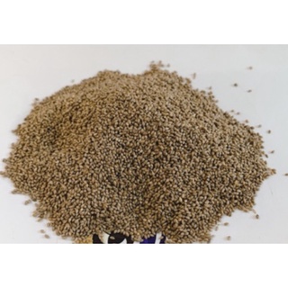 Hạt Fonio cho Yến hót, finch và sẻ các loại gói 100g