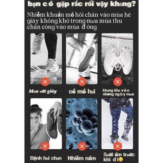 Máy sấy giày cartelo