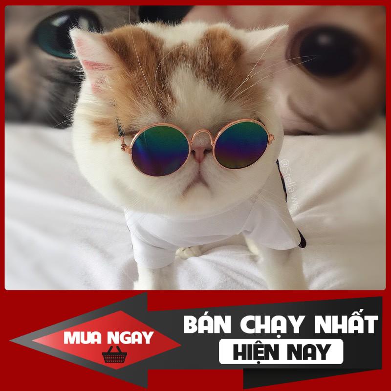 [❌GIÁ SỈ❌] Mắt kính thời trang cho thú cưng ( Giao màu ngẫu nhiên các bạn nhé ) ❤️