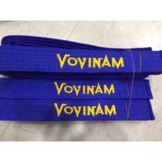 Lam đai Vovinam - Phong trào