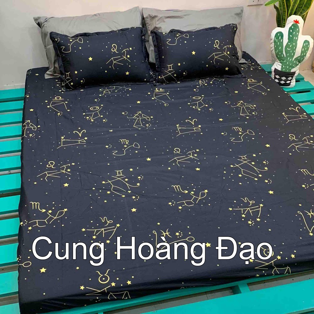 Bộ Ga Gối Poly Cotton Mẫu Đẹp Mẫu Quả Bơ (Được chọn mẫu) | BigBuy360 - bigbuy360.vn