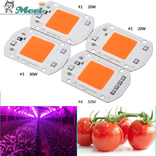 110V/220V 20W/30W/50W Full Spectrum LED Lamp Light Chip COB Plant Growing Grow