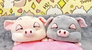 Set chăn gối heo phê cần