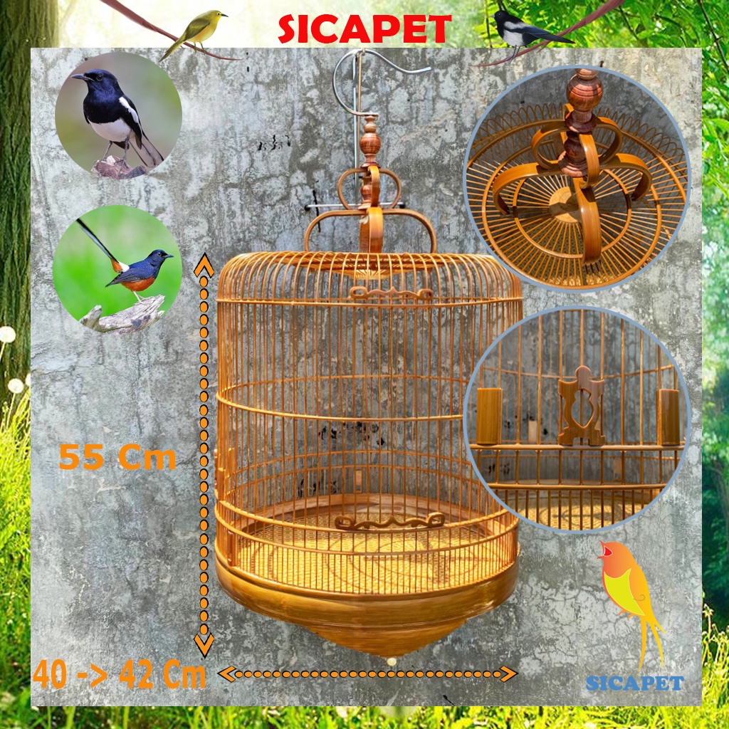 Lồng Chòe Than - Chòe Lửa , Lồng chim Chích Chòe đẹp SICAPET