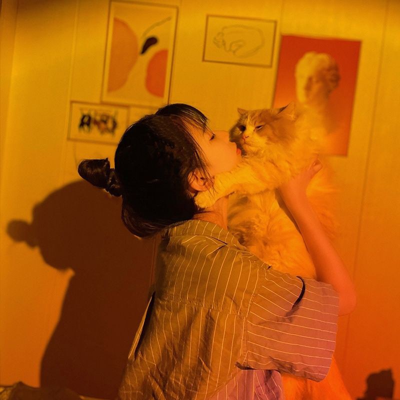 Đèn led hoàng hôn Rose Blackpink