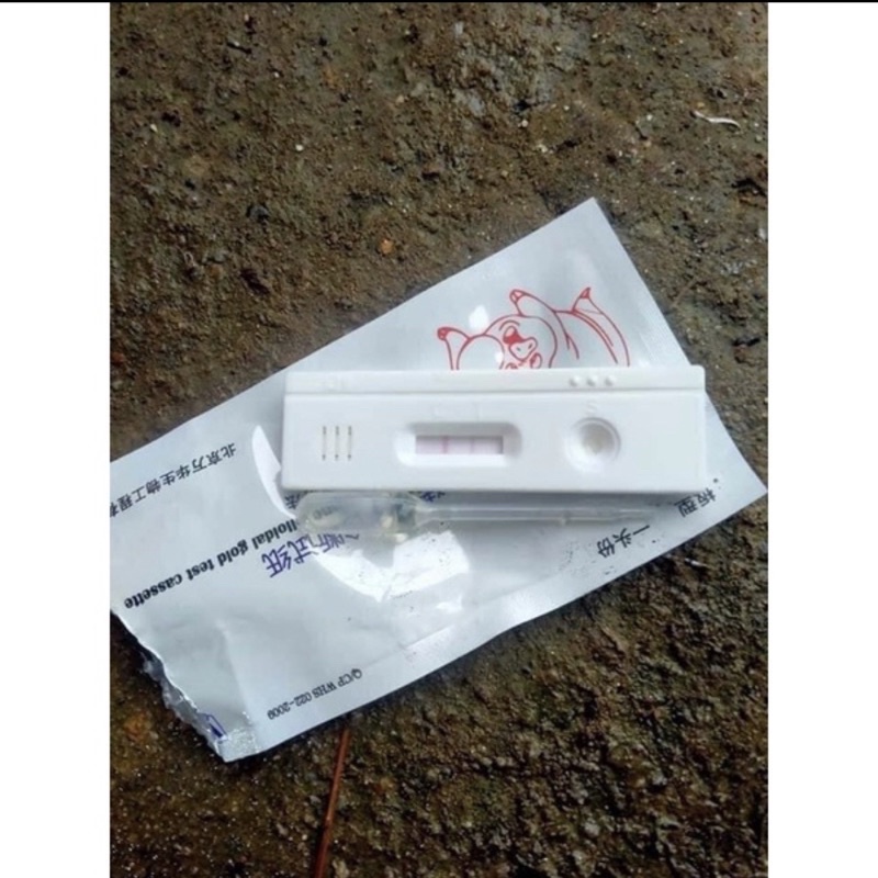 Que thử thai bò heo độ chính xác cao