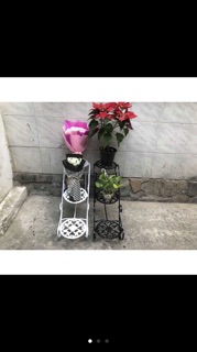 Kệ - giá sắt để chậu hoa