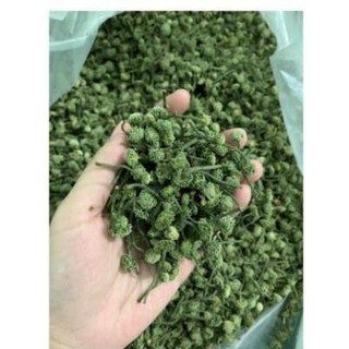 500gr nụ hoa tam thất , nụ tam thất bao tử