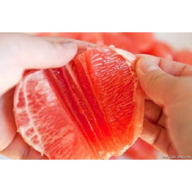 BƯỞI DA XANH RUỘT HỒNG 