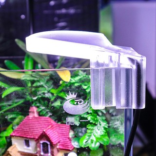 Đèn LED chống thấm nước mini cho bể cá
