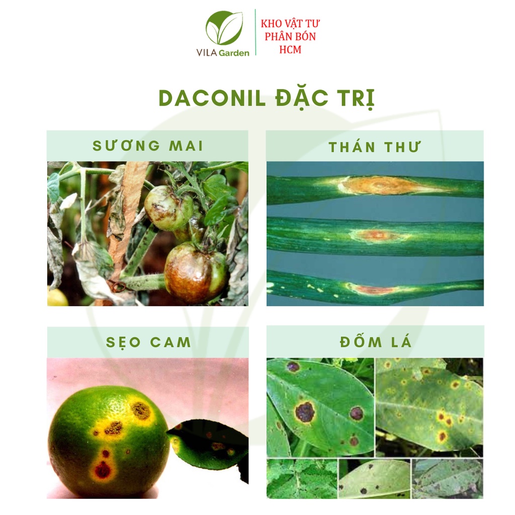 Thuốc Trừ Bệnh Nhật Bản DACONIL 75WP 15g