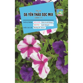 Hạt giống Hoa Dạ Yến Thảo Sọc Mix (VAH.17) – 200 Hạt