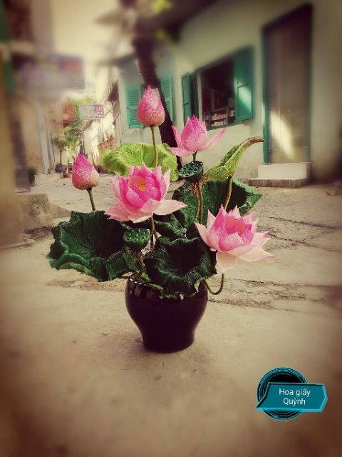 GIẤY NHÚN Ý LOANG MÀU | BigBuy360 - bigbuy360.vn