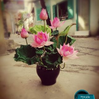 GIẤY NHÚN Ý LOANG MÀU 180G- 50cmx2.5m / 50x50cm