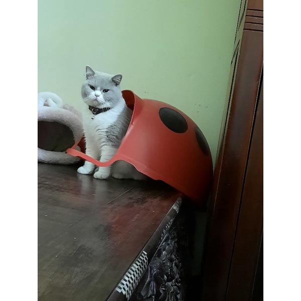 2 áo len của khách 78k