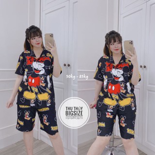 set bijama ngố bigsize
