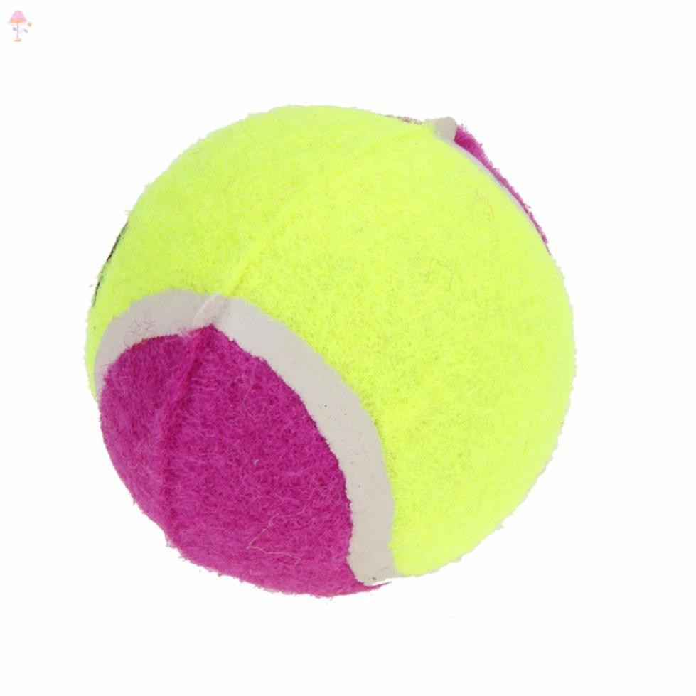 Bóng tennis cho chó mèo chất lượng cao dùng tập luyện vui chơi với thú cưng