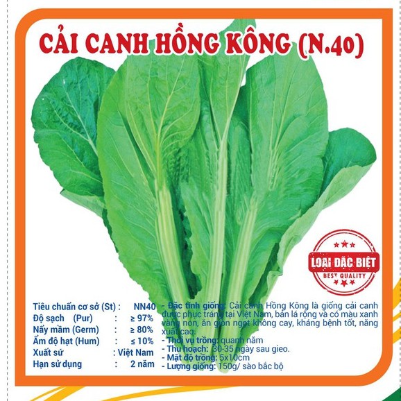 Hạt giống rau Cải Canh Hồng Kông cao sản (Cải bẹ lá to hong kong)