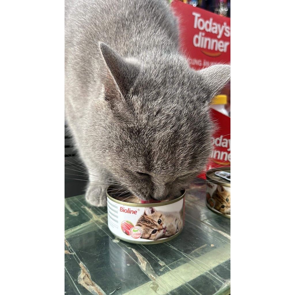 Pate/ Thức ăn dinh dưỡng Bioline 80g cho mèo nhiều vị thơm ngon dành cho mèo mọi lưa tuổi