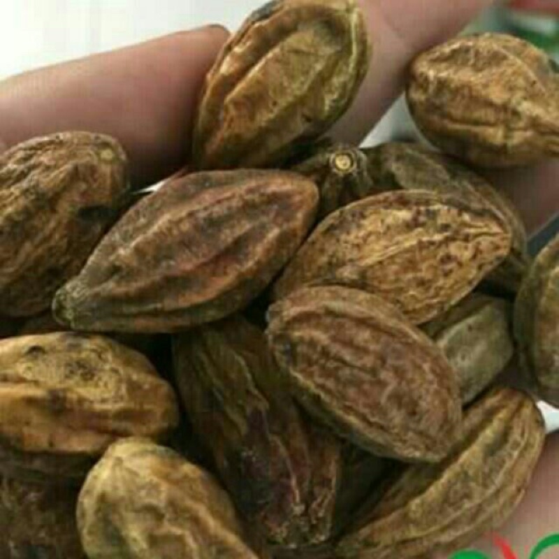 Quả kha tử 1 kg