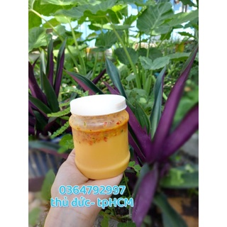 [SG] SỐT Chấm thần thánh - muối thần thánh