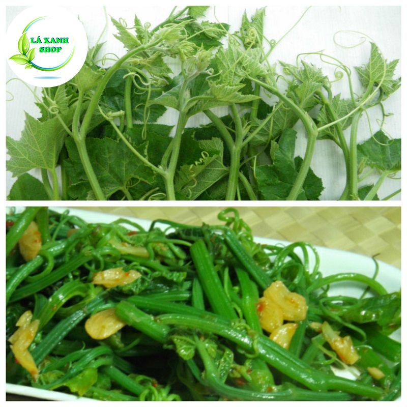 Hạt Giống Bí Siêu Ngọn (Bí Lấy Ngọn) Cao Sản Giòn Ngọt, Dễ Trồng (gói 20 gr) - Hạt giống Rạng Đông