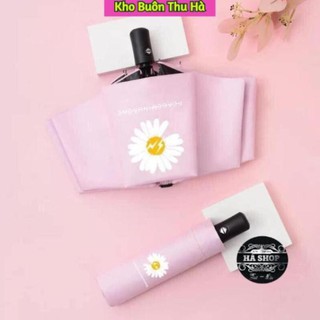 [ FREE - SHIP 50K ]  ô hoa cúc hót hít