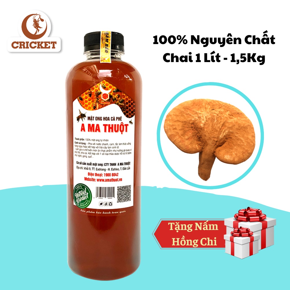 Mật Ong Hoa Cà Phê 100% Nguyên Chất Chai 1L (1.5kg) - Đặc Sản Rừng A Ma Thuột [ Tặng Kèm Nấm Hồng Chi ]]