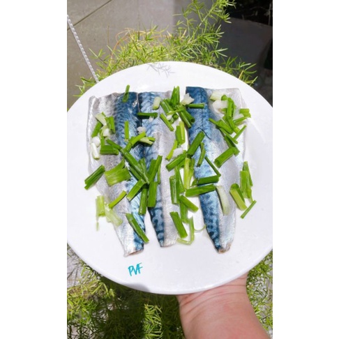 Cá SABA Nauy phi lê 500g.