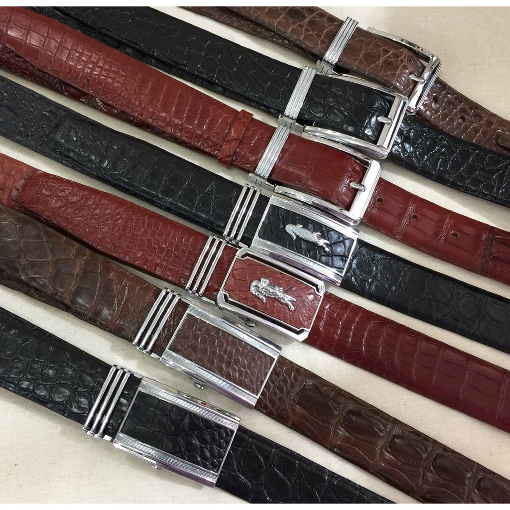 Cá sấu nguyên con trưng bày đã qua sử lý