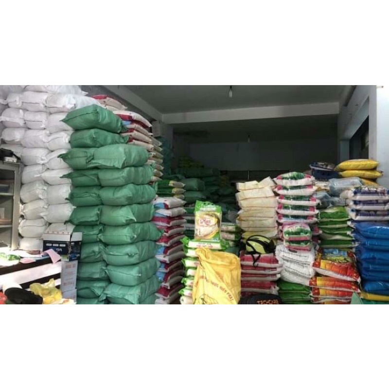 Gạo Thơm Lài 10 ký Dẻo ít mềm cơm